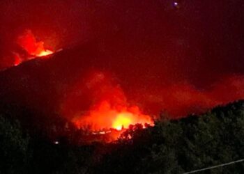 Jendouba : Trois incendies de forêt en cours à Aïn Draham, les secours mobilisés