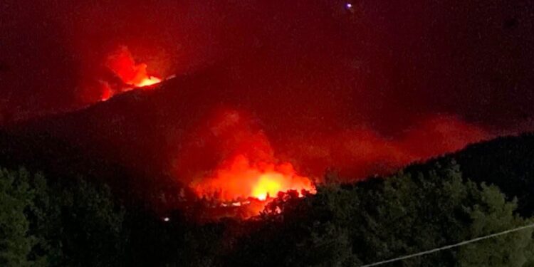 Jendouba : Trois incendies de forêt en cours à Aïn Draham, les secours mobilisés