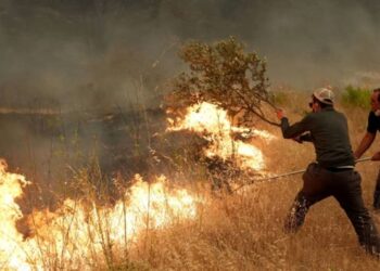 Incendies