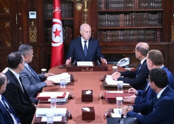 Eau, électricité, incendies : Kaïs Saïed réunit la STEG, la SONEDE et plusieurs ministres