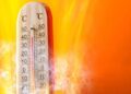 Canicule en Tunisie : Douze gouvernorats placés en vigilance orange