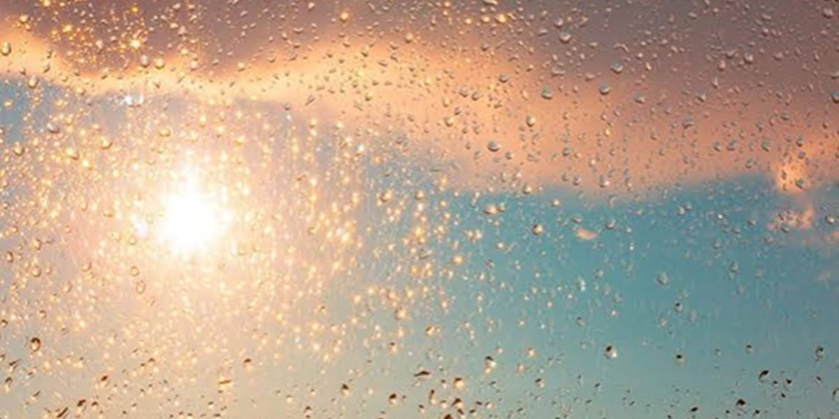Canicule : Les premières pluies font leur retour dans plusieurs régions de Tunisie