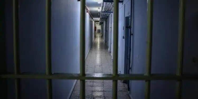 Cocaïne à Tunis-Carthage : la justice prononce une troisième condamnation en un mois