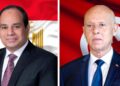Entretien Saied Sissi