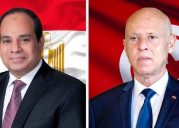 Entretien Saied Sissi