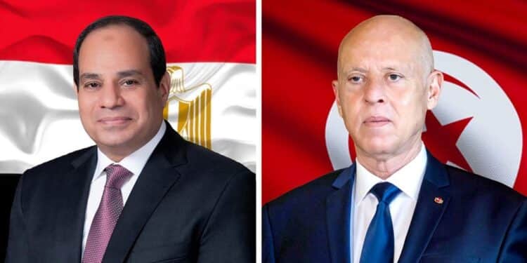 Entretien Saied Sissi