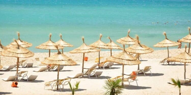 Nouveaux marchés, vols charters, contrôles : La Tunisie accélère sa stratégie touristique