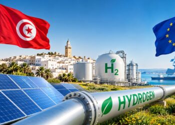 La Tunisie et l'Europe au c&oelig;ur des projets d'hydrog&egrave;ne vert destin&eacute;s &agrave; la transition &eacute;nerg&eacute;tique.