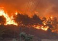 Alg&eacute;rie : Au moins 12 morts dans les incendies qui ravagent le nord du pays