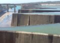 Tunisie : Une &eacute;tude pilote de solaire flottant lanc&eacute;e au barrage de Sidi El Barrak