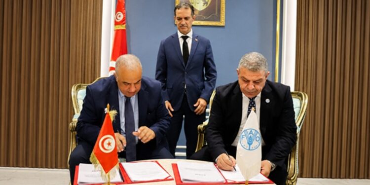 Le ministre de l&rsquo;Agriculture supervise la signature de la convention entre le directeur g&eacute;n&eacute;ral des For&ecirc;ts et le repr&eacute;sentant de la FAO en Tunisie, le 7 ao&ucirc;t 2026.