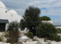 La Marsa : La Kharja de Sidi Abdelaziz aura lieu dimanche prochain