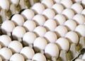 Oeufs : Quand le prix pay&eacute; d&eacute;passe largement le co&ucirc;t de production