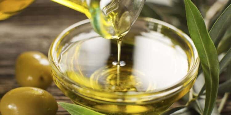 Huile d&rsquo;olive : En Afrique, la Tunisie d&eacute;pend presque enti&egrave;rement du march&eacute; &eacute;gyptien