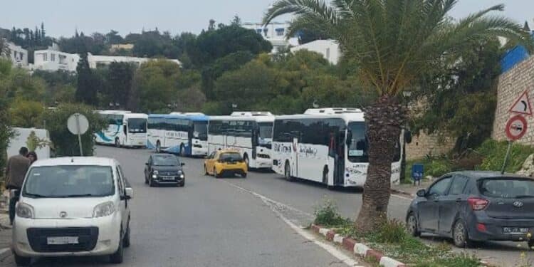 Sidi Bou Sa&iuml;d : Surtourisme local et panne de solutions