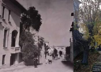 Nostalgies : Parfums Kolsi et rues de Montfleury