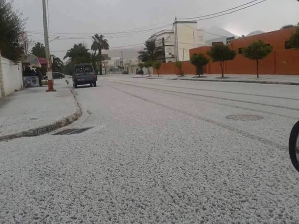 neige ezzahra