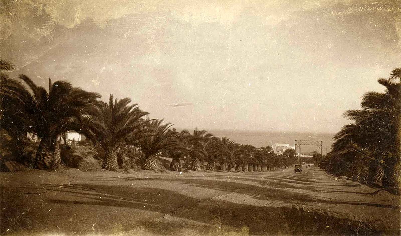 1930_carthage_av_palmiers