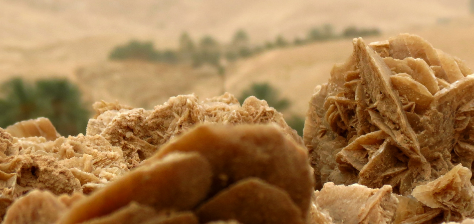 Une rose des sables pour commencer l’année