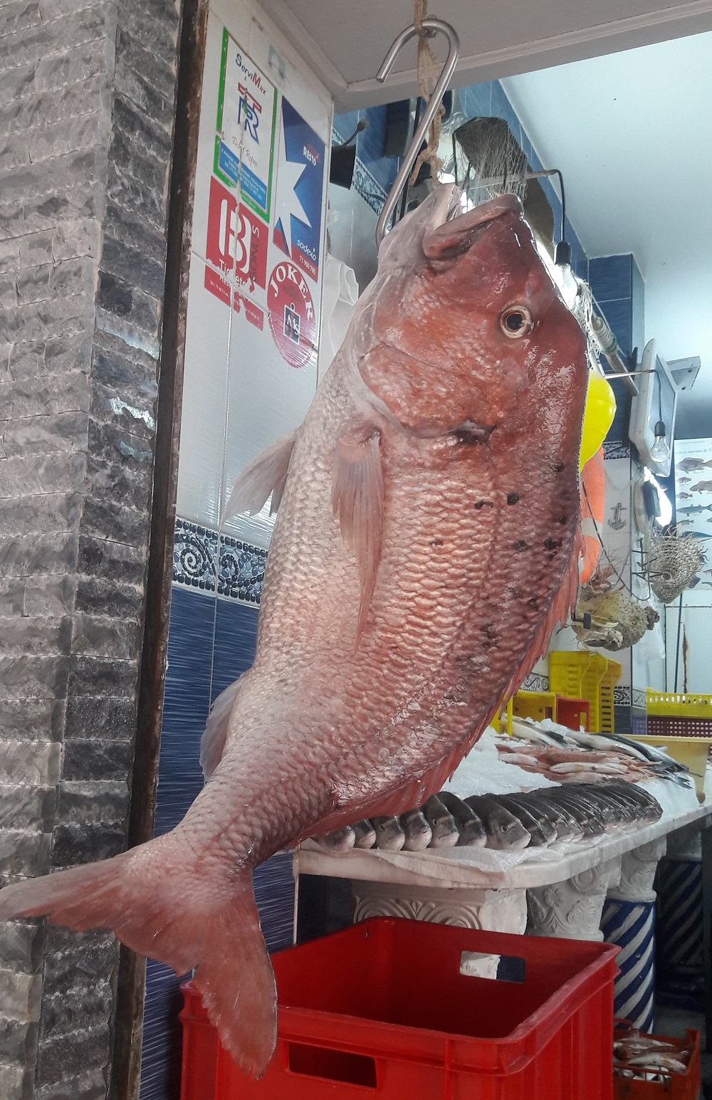 Pour tous les budgets Que diriezvous d'une virée "poissons" à La