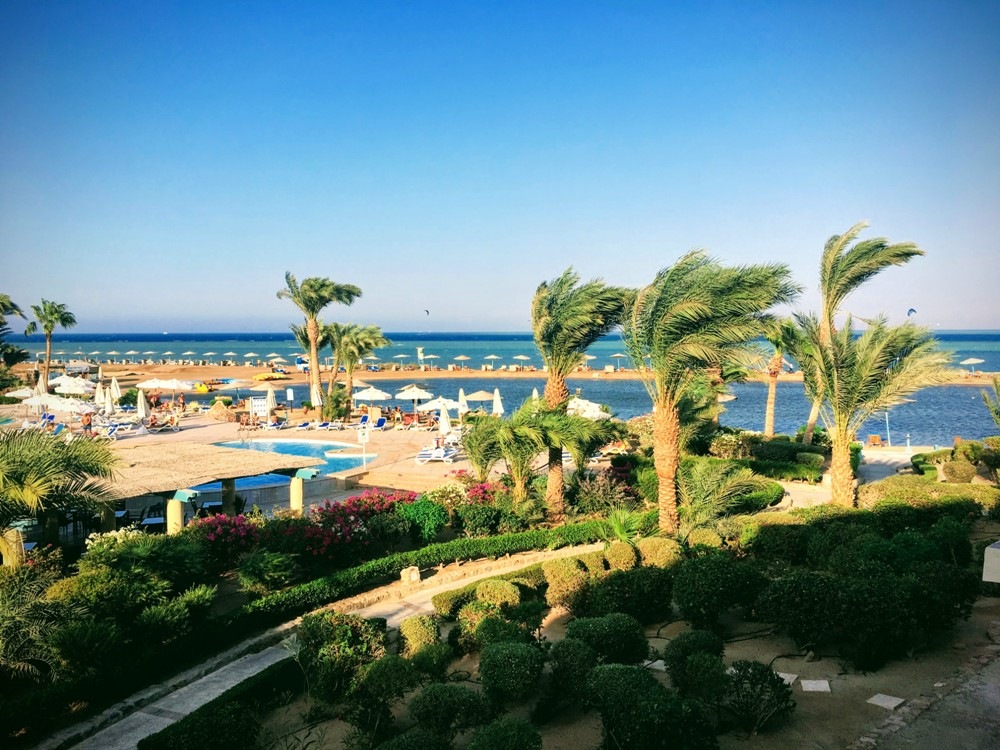 GFF 2019 - Vue sur la piscine, les palmiers et la mer.