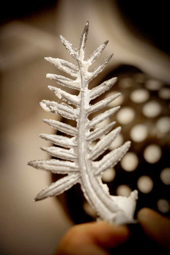 Palme d'Or