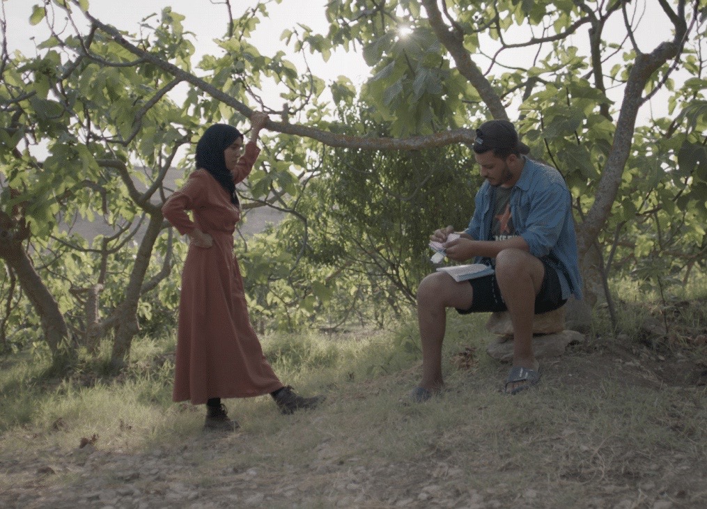 Under the fig trees